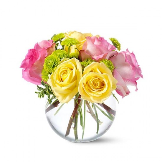 The Pink Lemonade Roses